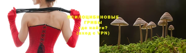 a pvp Баксан