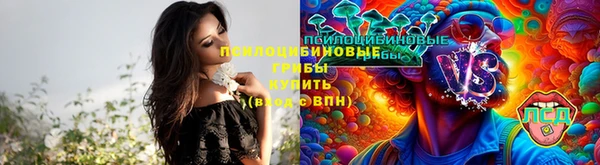 дживик Балабаново