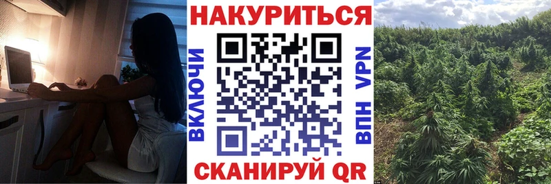 Бошки Шишки Bruce Banner  Боровичи 
